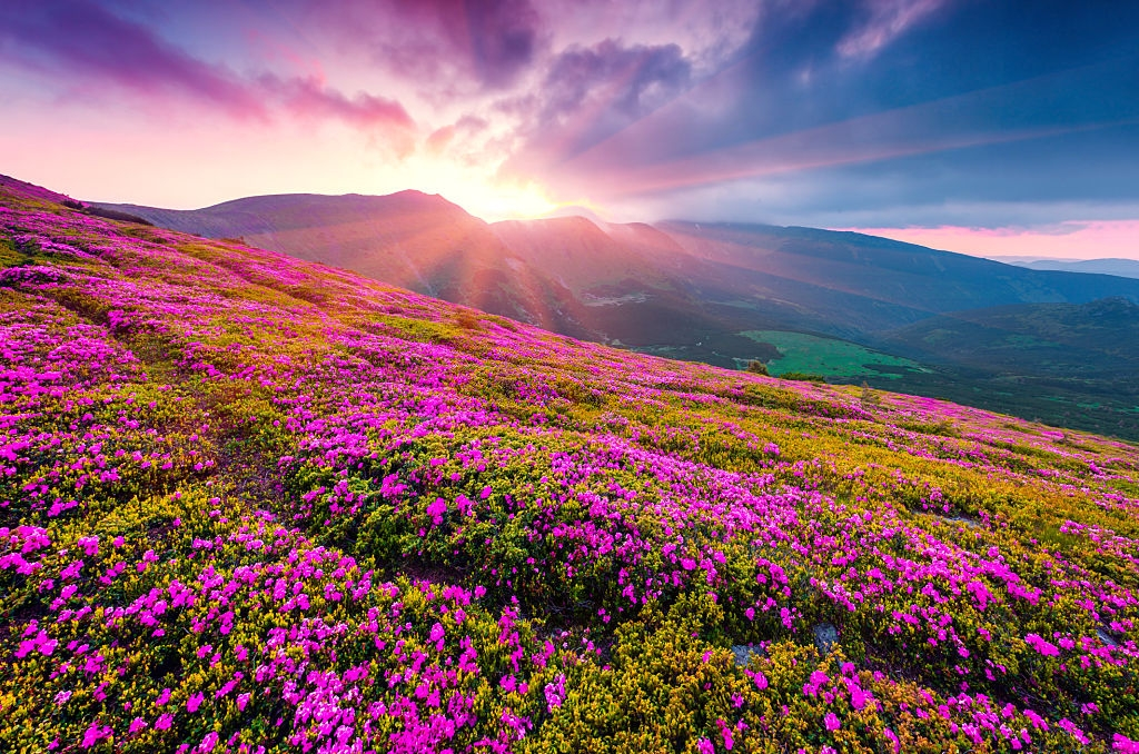 Uttarakhand Tour Package